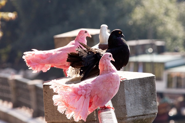 一战定资格！U20国足今日火拼沙特，做好这三点格外重要.
