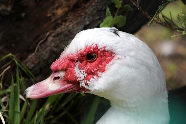 英超｜曼城作客利物浦吞2蛋四連敗　紅軍續居榜首.