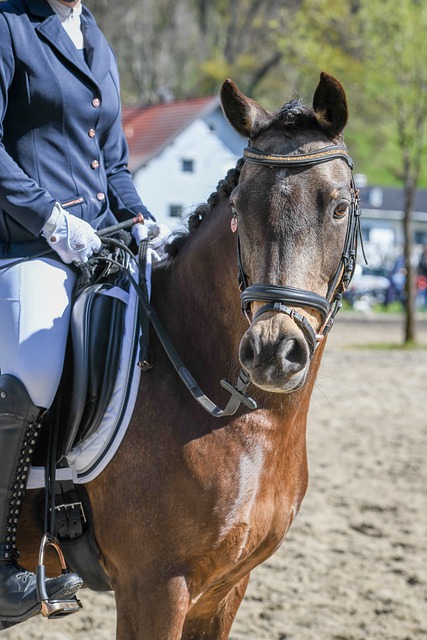 36岁库里场均23分5板6助，那36岁的魔术师，当年什么表现？.