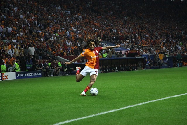 横滨水手官方：一球迷因在看台上竖中指被无限期禁止进入球场.